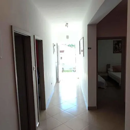 In 7388 Vinisce